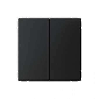 2-клавишный ВЫКЛЮЧАТЕЛЬ с самовозвратом, сх. 2, 10АХ , Art Gallery, цвет Карбон, GAL001017