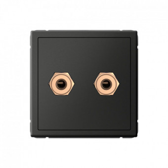 Акустическая розетка двойная, цвет Базальт