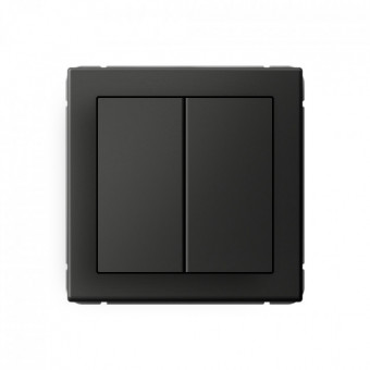 2-клавишный ПЕРЕКЛЮЧАТЕЛЬ, перекрестный, 2 x сх. 7, 10АХ, AG цвет Базальт