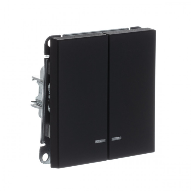 2-клавишный ВЫКЛЮЧАТЕЛЬ с подсветкой, сх. 5а, 10АХ , Art Gallery, цвет Карбон, GAL001053